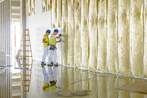 Best Insulation Maintenance and Repair in Mccall, ID